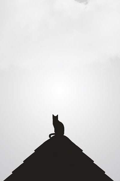 Neve Minimal Blogger 11 Ogw6v2xhiykjkglcbcath685qobodkmr0r3cplch9s